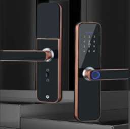 [655] CERRADURA DIGITAL S806 WIFI TUYA -BRONCE / UNI